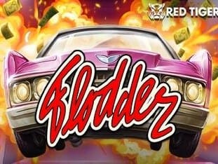 Flodder game icon